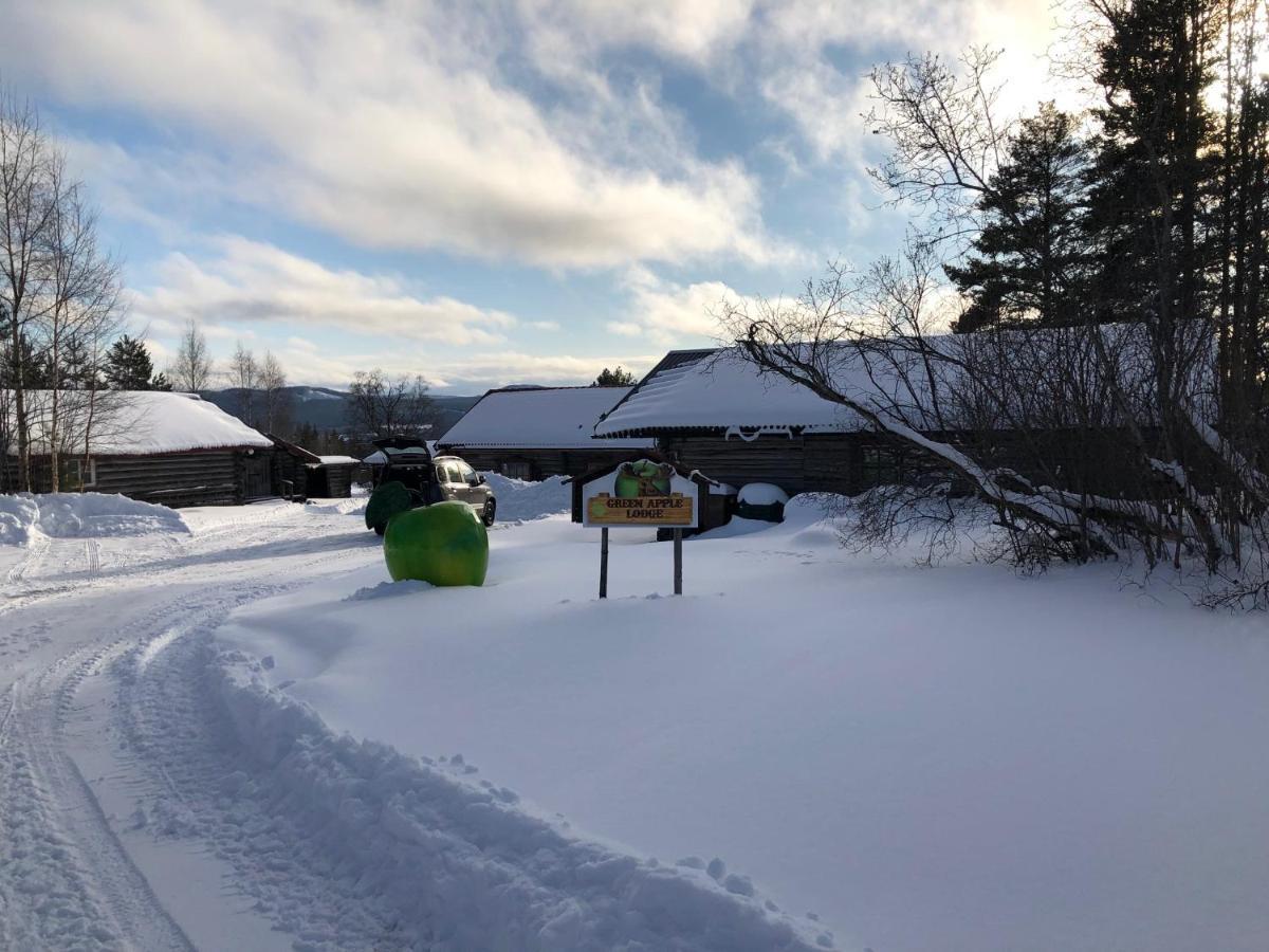Beautiful 4-5 Persons Cottage In Alvdalen Blyberg Exterior photo